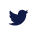 icon social